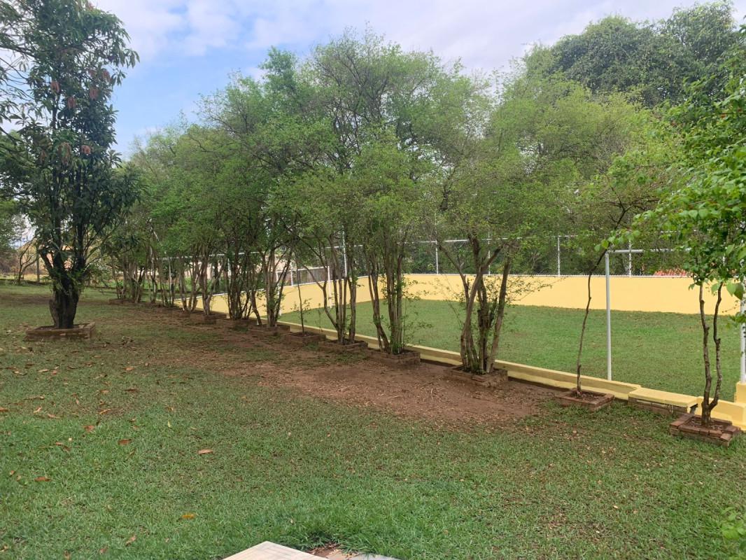 Fazenda, Vianópolis, 4 Quartos, 4 Vagas, 1 Suíte