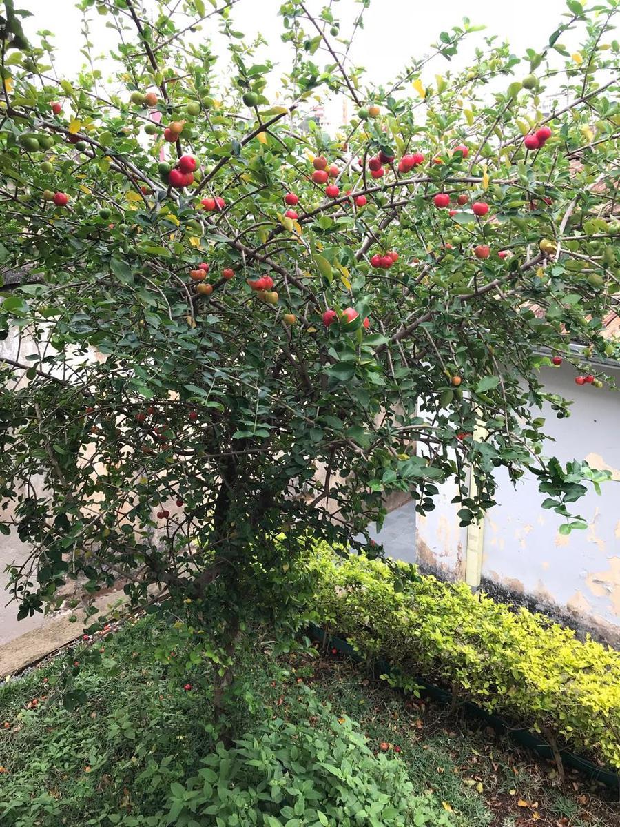 Casa, Sagrada Família, 3 Quartos, 2 Vagas