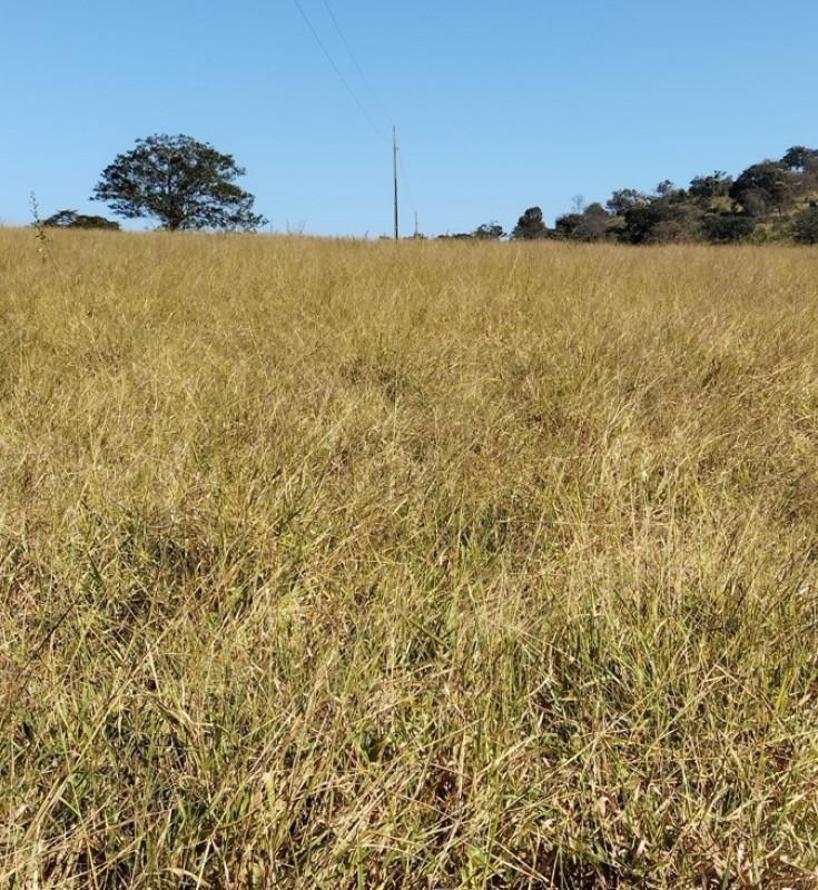 Fazenda, Área Rural de Pará de Minas, 0 Quarto, 0 Vaga