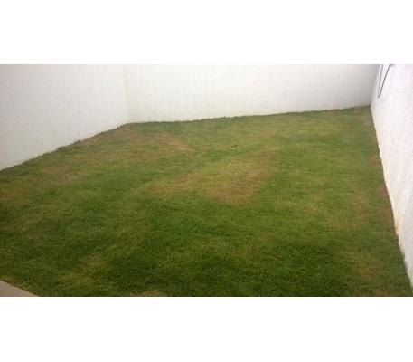 Casa, Santa Amélia, 3 Quartos, 2 Vagas, 1 Suíte