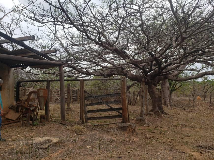 Fazenda, Centro, 0 Quarto, 0 Vaga