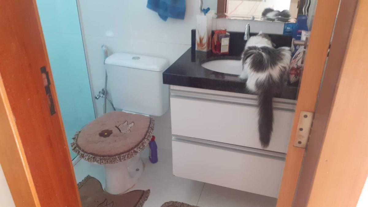 Casa, Vila Clóris, 2 Quartos, 2 Vagas, 2 Suítes