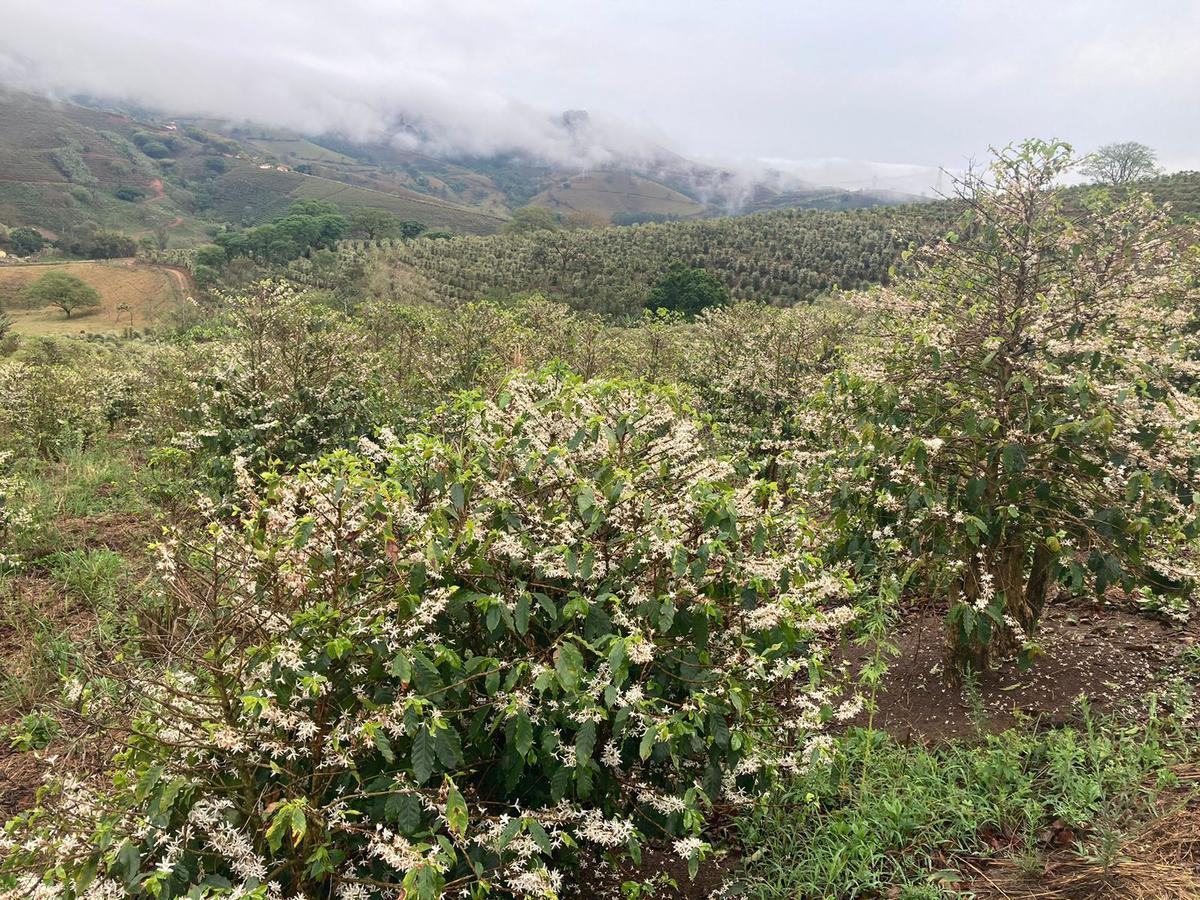 Fazenda, Zona Rural, 1 Quarto, 0 Vaga