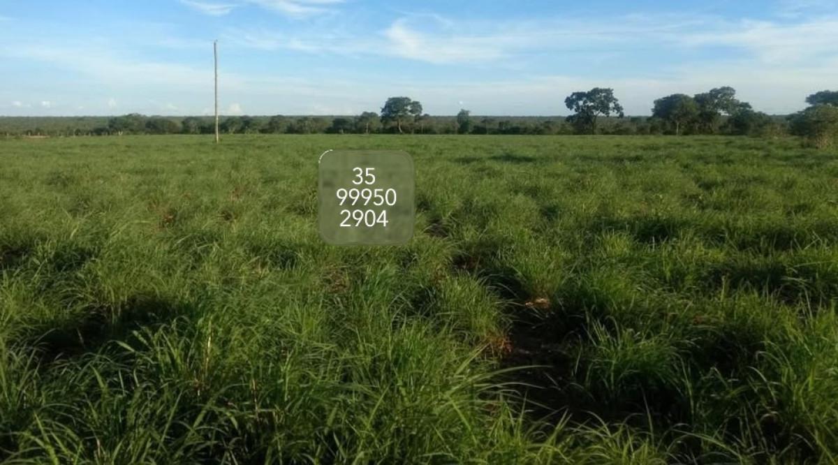 Fazenda, Zona Rural, 0 Quarto, 0 Vaga