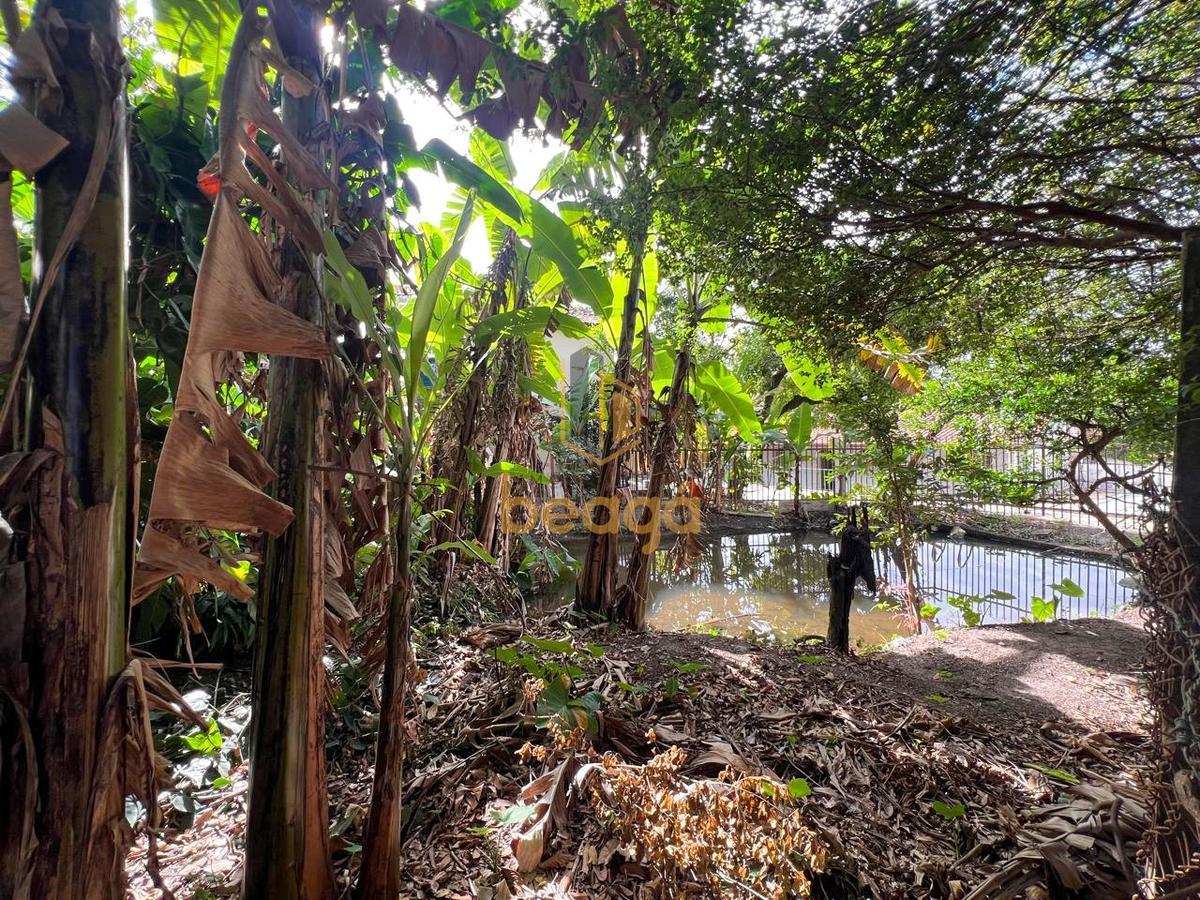 Fazenda, Chácara Novo Horizonte, 3 Quartos, 2 Vagas, 1 Suíte