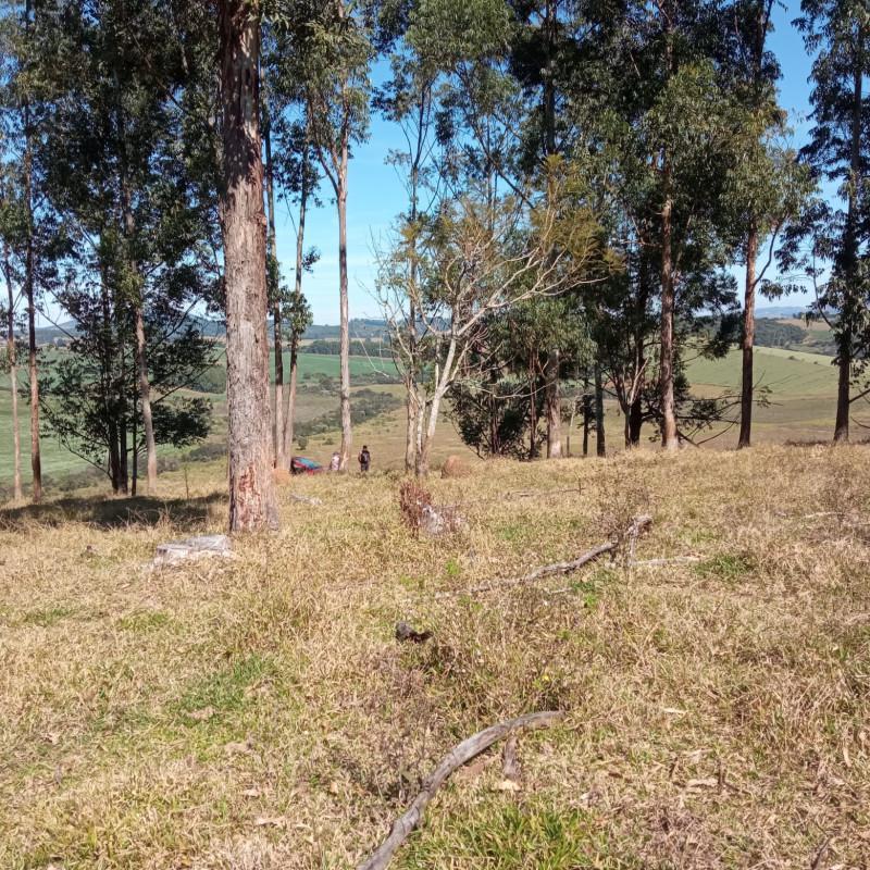 Fazenda, Zona Rural, 0 Quarto, 0 Vaga