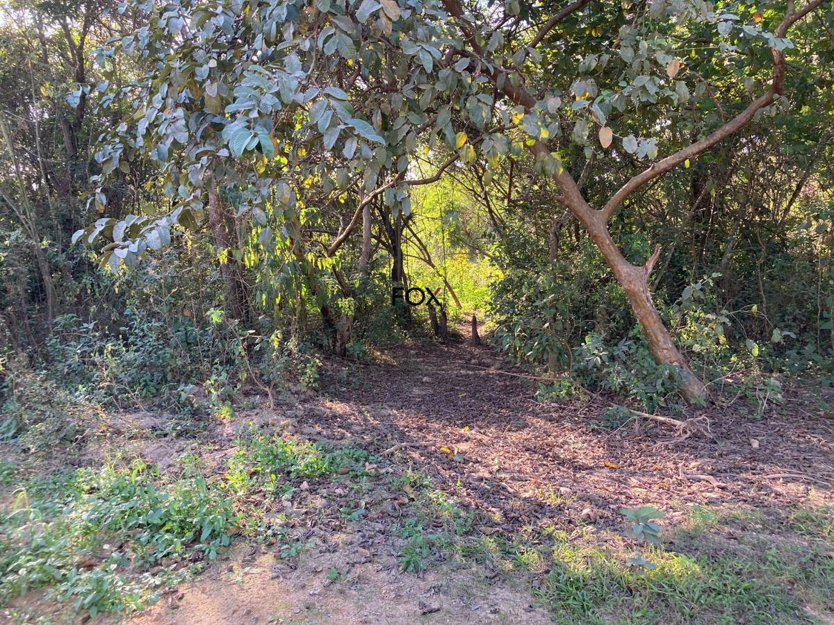 Lote, Centro, 0 Quarto, 0 Vaga