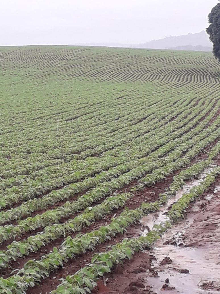 Fazenda, Centro, 1 Quarto, 1 Vaga, 1 Suíte