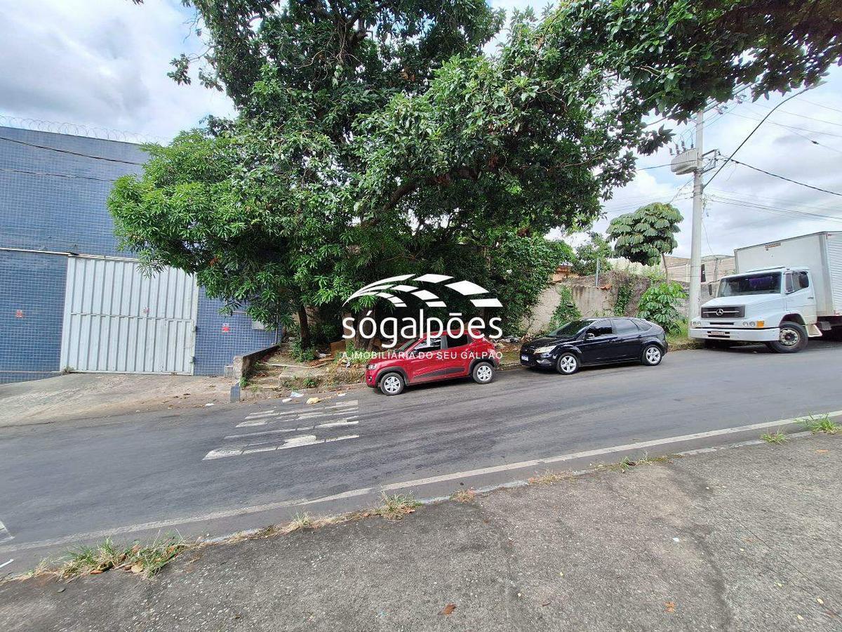 Lote, Kennedy