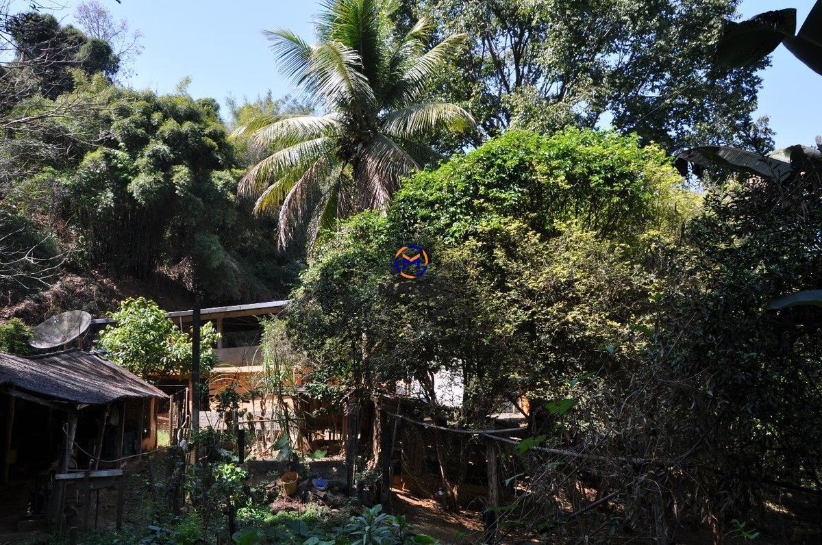 Lote, Ime Farage, 0 Quarto, 0 Vaga