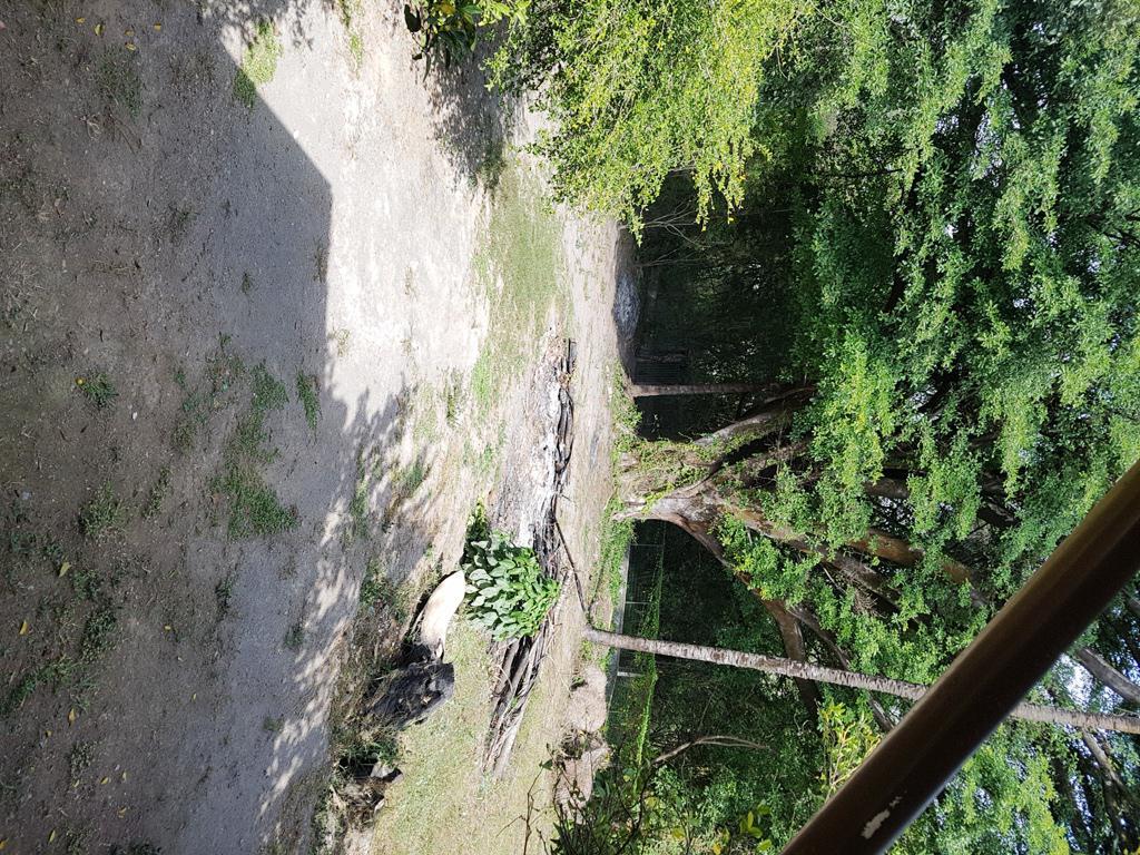 Fazenda, Parque Jardim Encantado, 6 Quartos, 15 Vagas, 4 Suítes