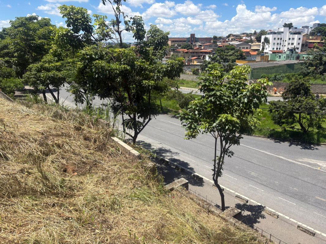Lote, Santa Mônica, 0 Quarto, 0 Vaga