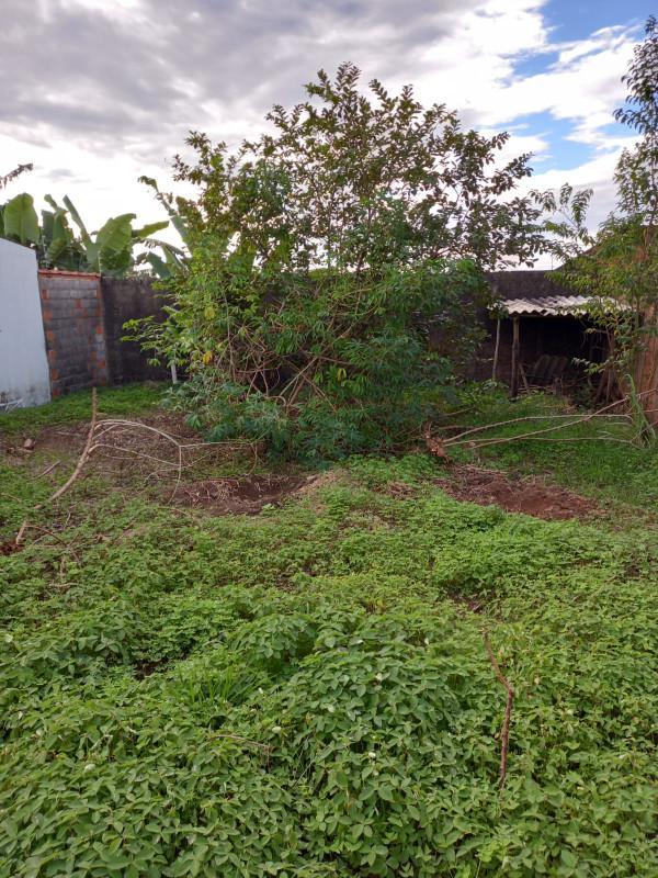 Lote, Jardim Sion, 0 Quarto, 0 Vaga