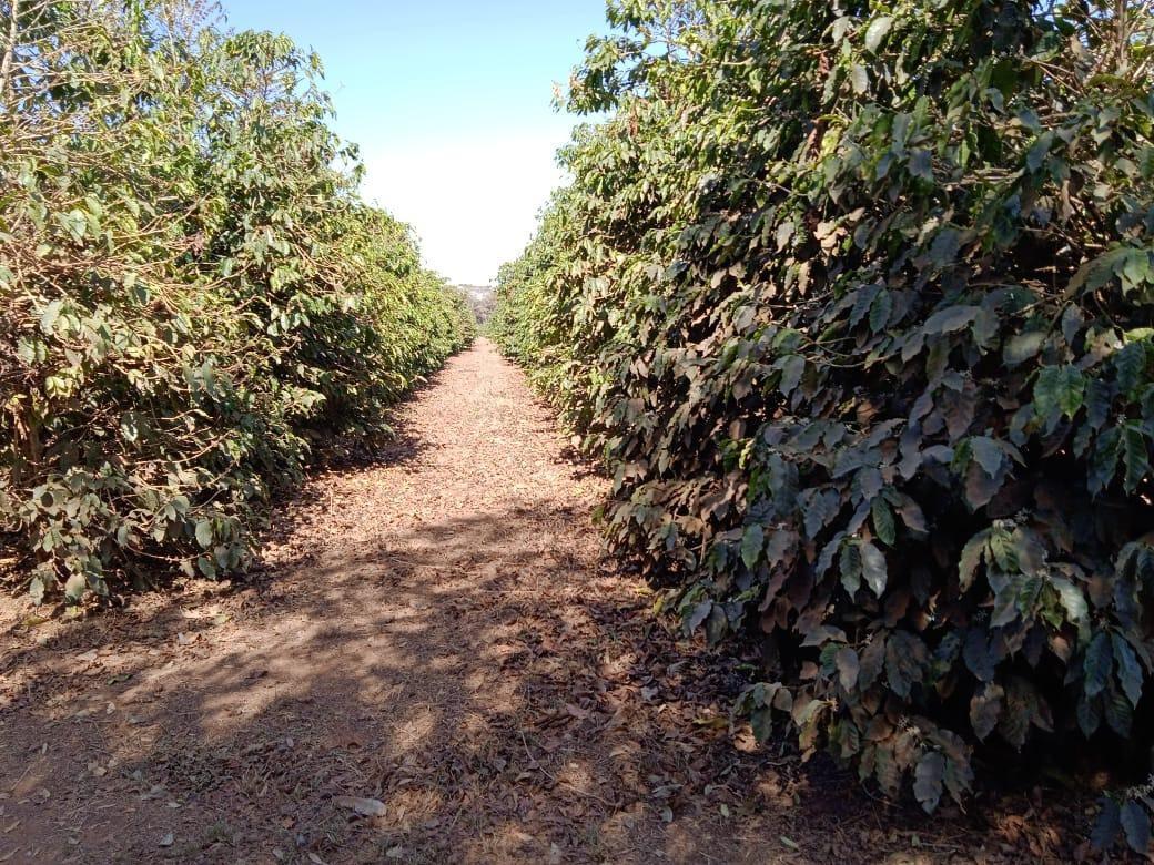 Fazenda, Zona Rural, 2 Quartos, 0 Vaga