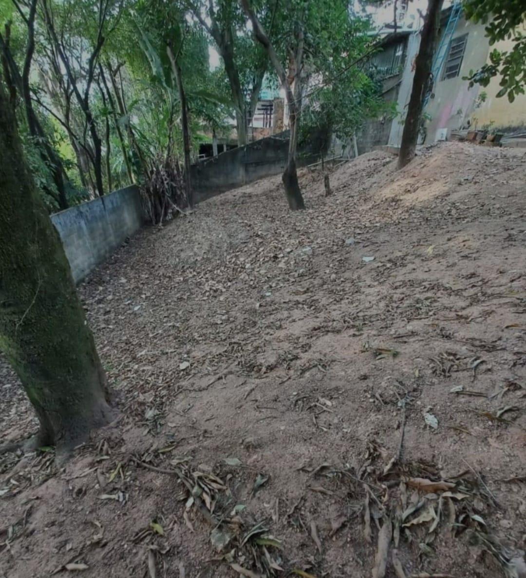 Lote, São Francisco, 0 Quarto, 0 Vaga