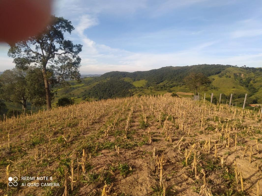 Fazenda, Zona Rural, 3 Quartos, 0 Vaga