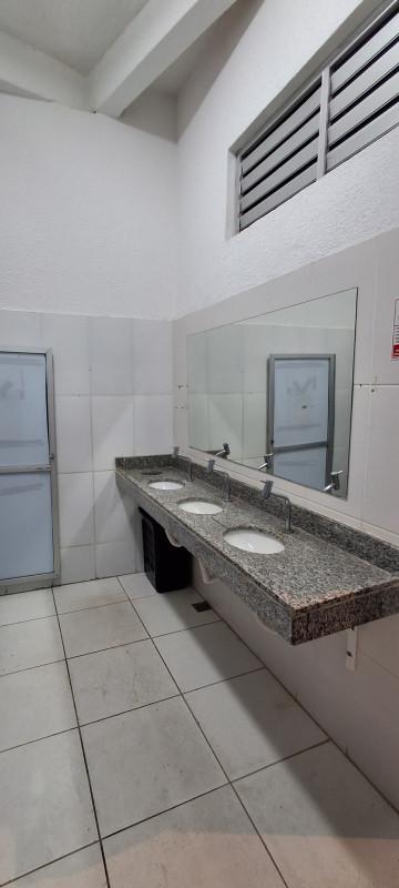 Andar, Floresta, 0 Quarto, 6 Vagas