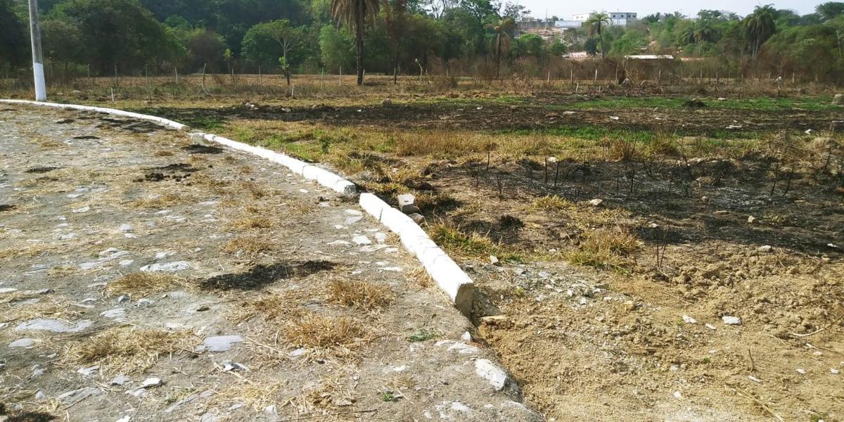 Lote, São José, 0 Quarto, 4 Vagas