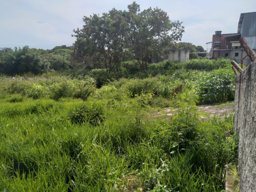 Lote, Filadélfia, 0 Quarto, 0 Vaga