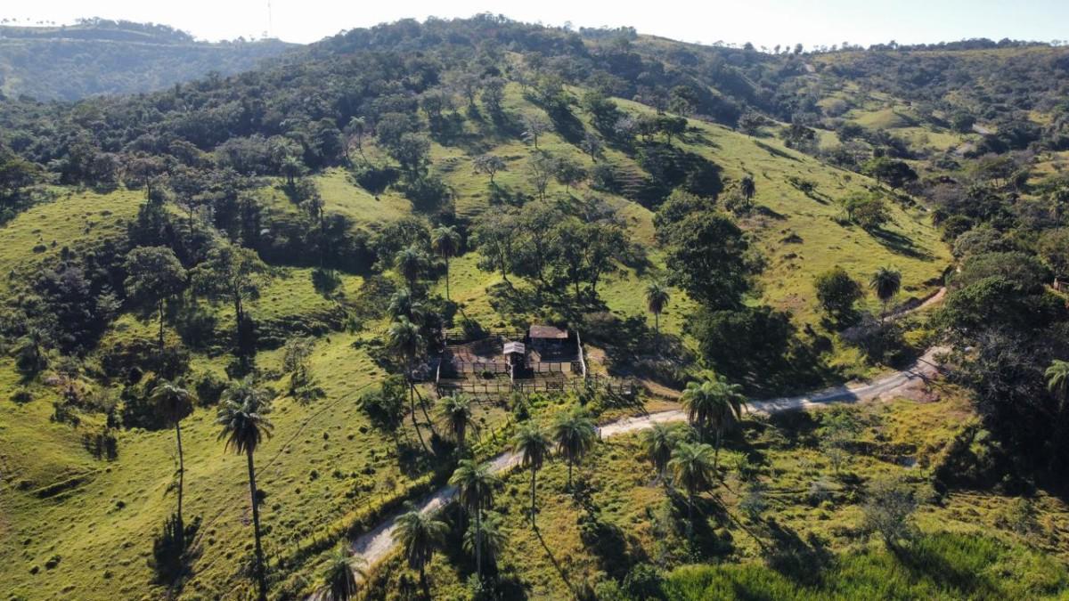 Fazenda, Melo Viana, 0 Quarto, 0 Vaga