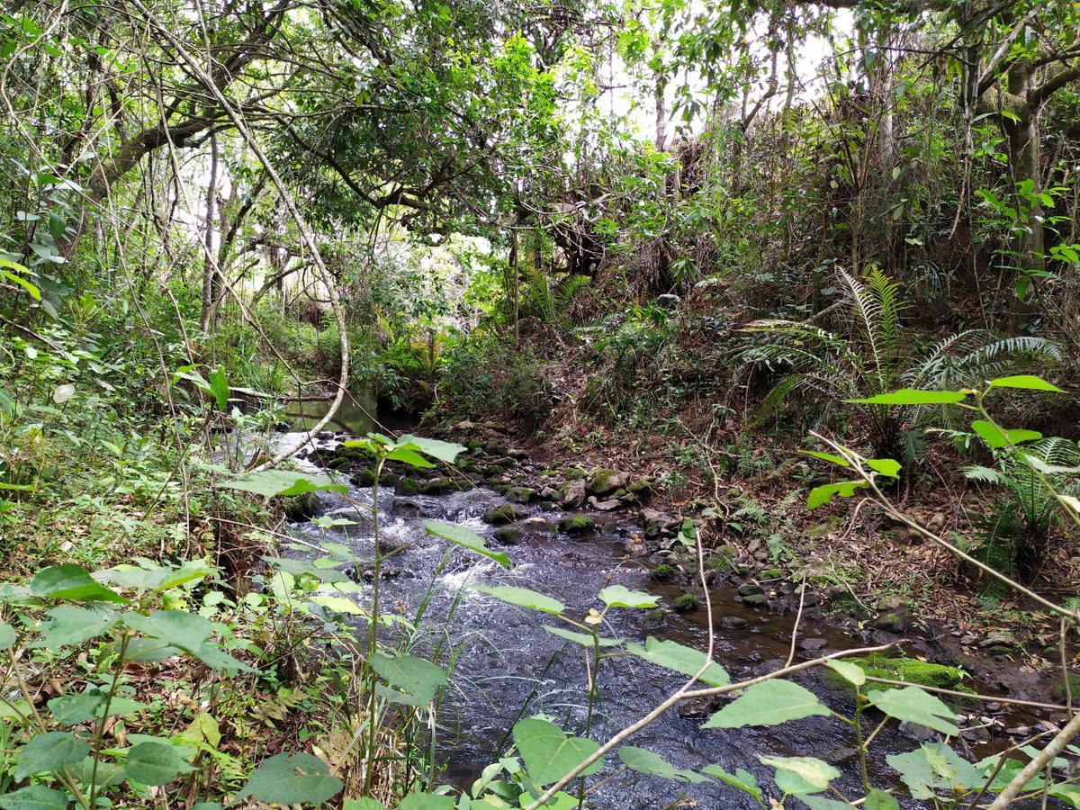 Fazenda, Centro, 1 Quarto, 0 Vaga