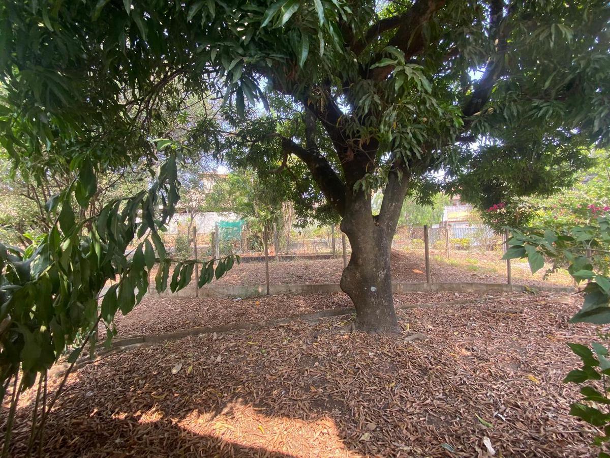 Lote, Centro, 3 Quartos, 0 Vaga, 1 Suíte