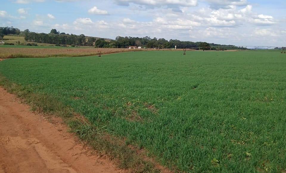 Fazenda, Zona Rural, 3 Quartos, 0 Vaga