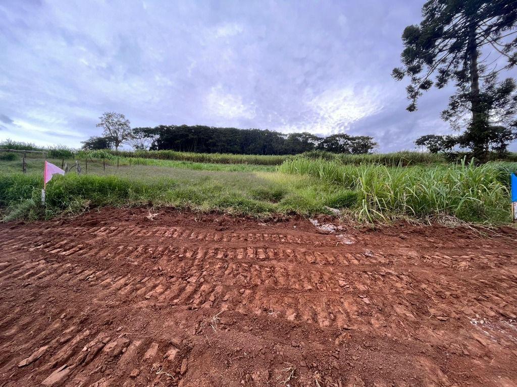 Lote, São José, 0 Quarto, 0 Vaga