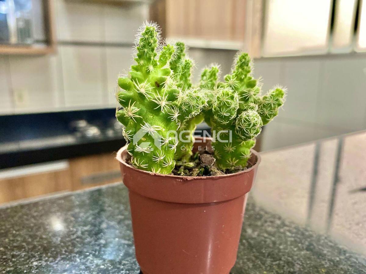 Apartamento, Camargos, 2 Quartos, 0 Vaga, 0 Suíte