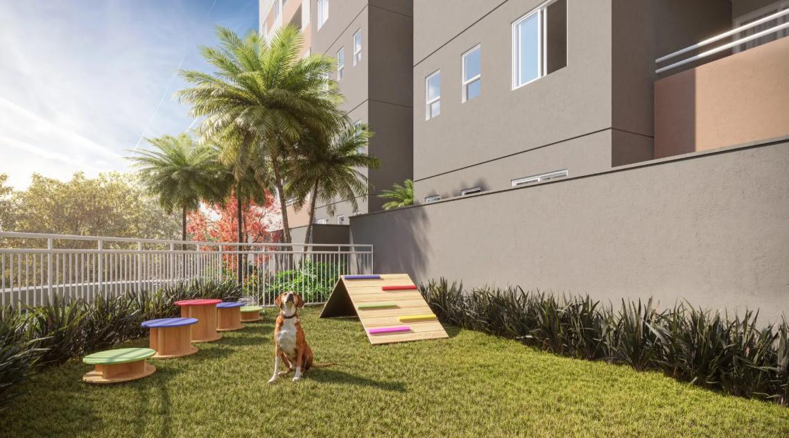 Apartamento, Santa Amélia, 1 Quarto, 1 Vaga, 1 Suíte