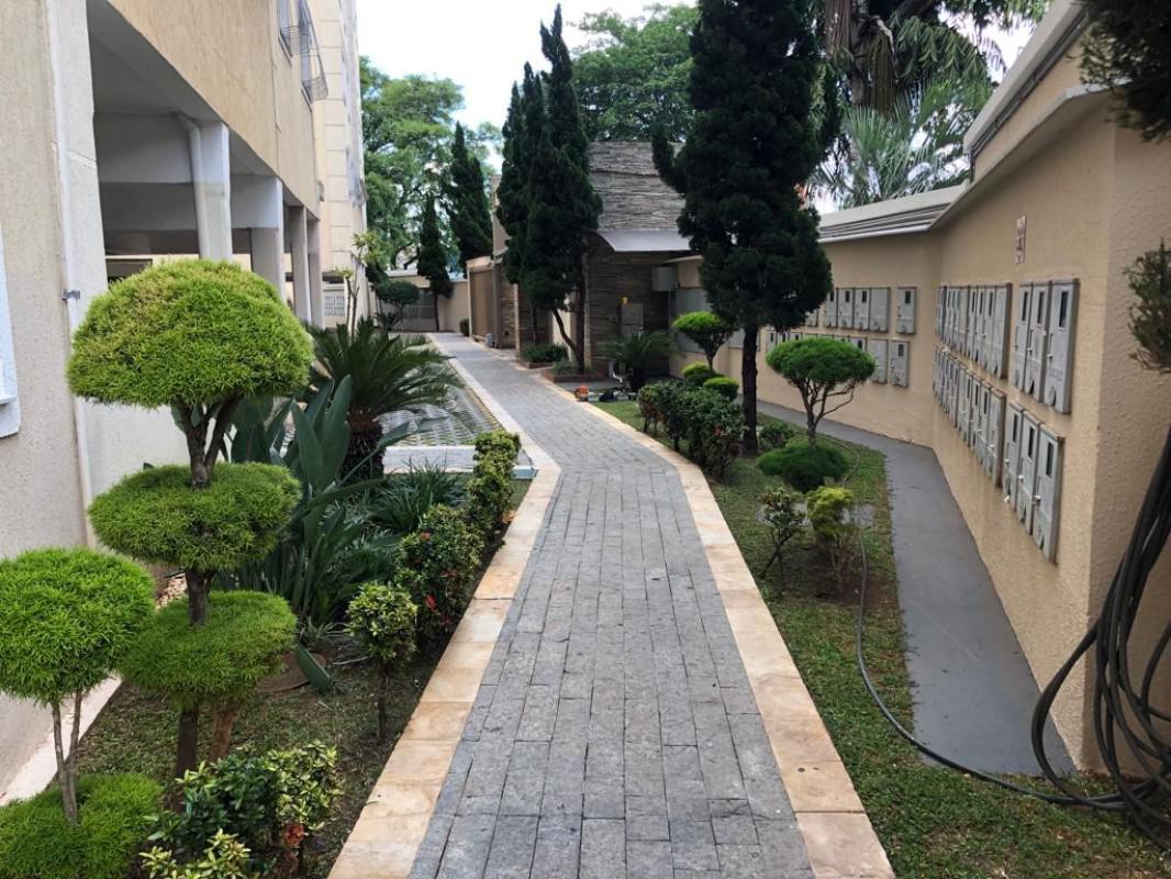 Apartamento, Santa Efigênia, 3 Quartos, 2 Vagas, 1 Suíte