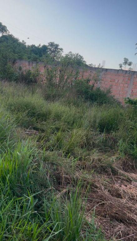 Lote, Paciência, 0 Quarto, 0 Vaga