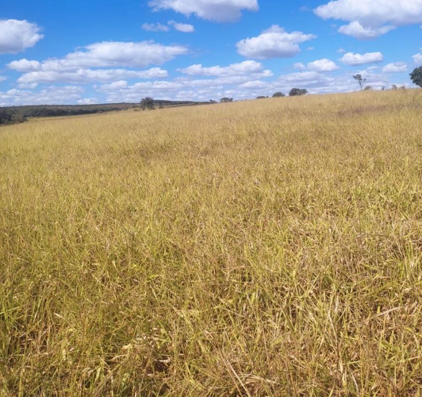 Fazenda, Zona Rural, 0 Quarto, 0 Vaga