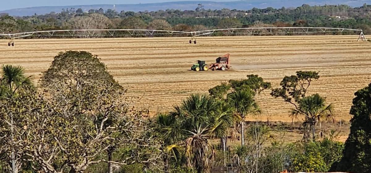 Fazenda, Centro, 0 Quarto, 0 Vaga