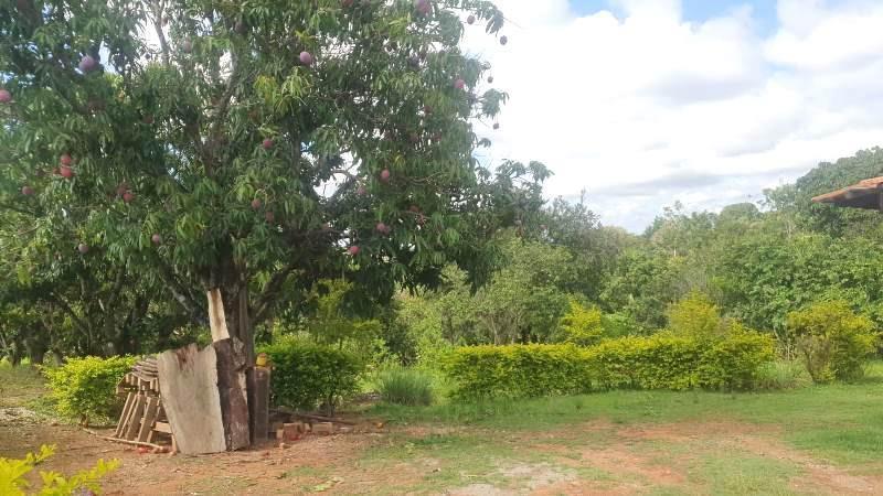 Fazenda, Centro, 5 Quartos, 5 Vagas, 1 Suíte