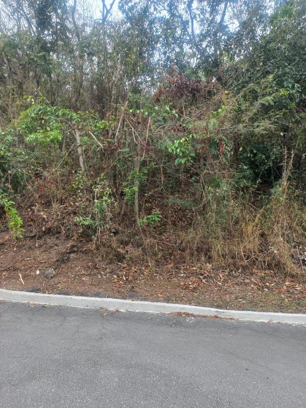 Lote, Gentileza, 0 Quarto, 0 Vaga