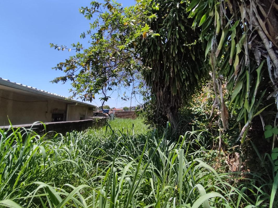 Lote, Santa Cruz, 0 Quarto, 0 Vaga