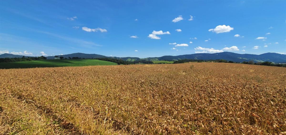 Fazenda, Centro, 1 Quarto, 1 Vaga