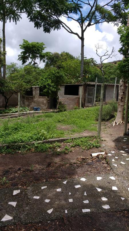 Fazenda, Melo Viana, 6 Quartos, 10 Vagas, 1 Suíte