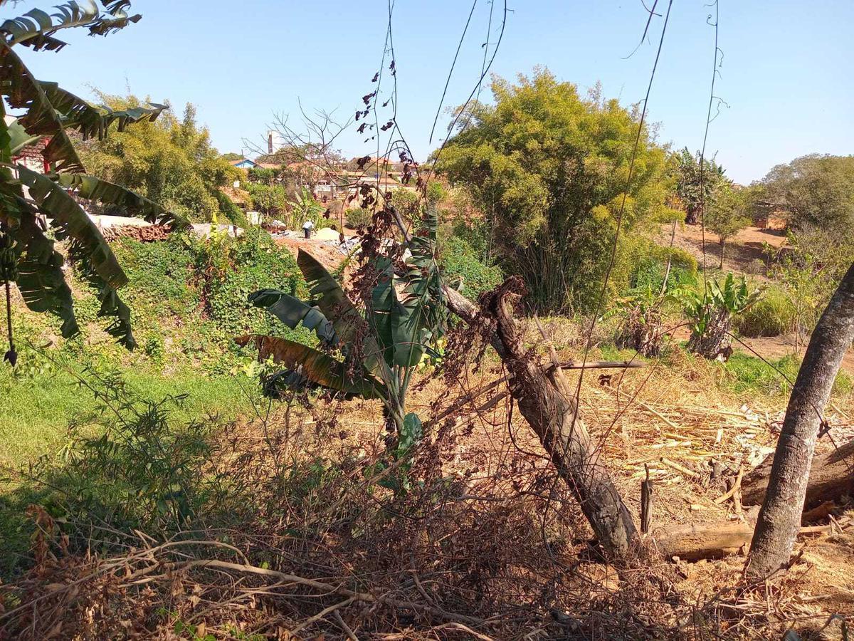 Lote, Centro, 0 Quarto, 0 Vaga
