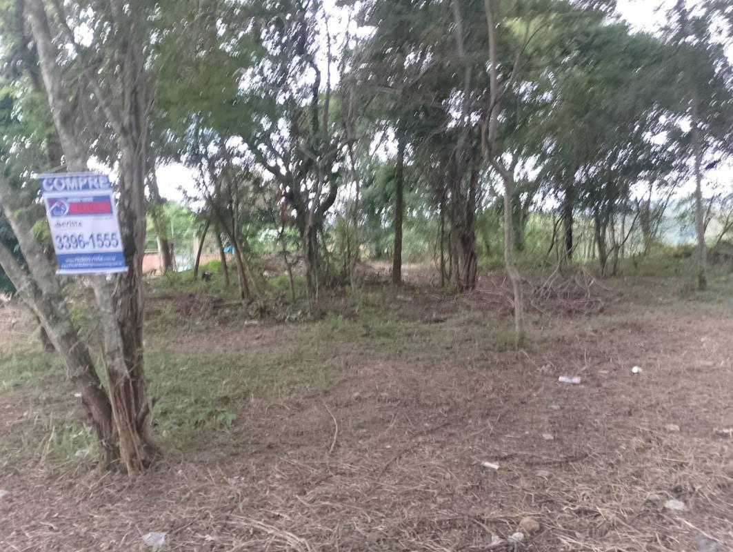 Lote, Vale Verde, 0 Quarto, 0 Vaga