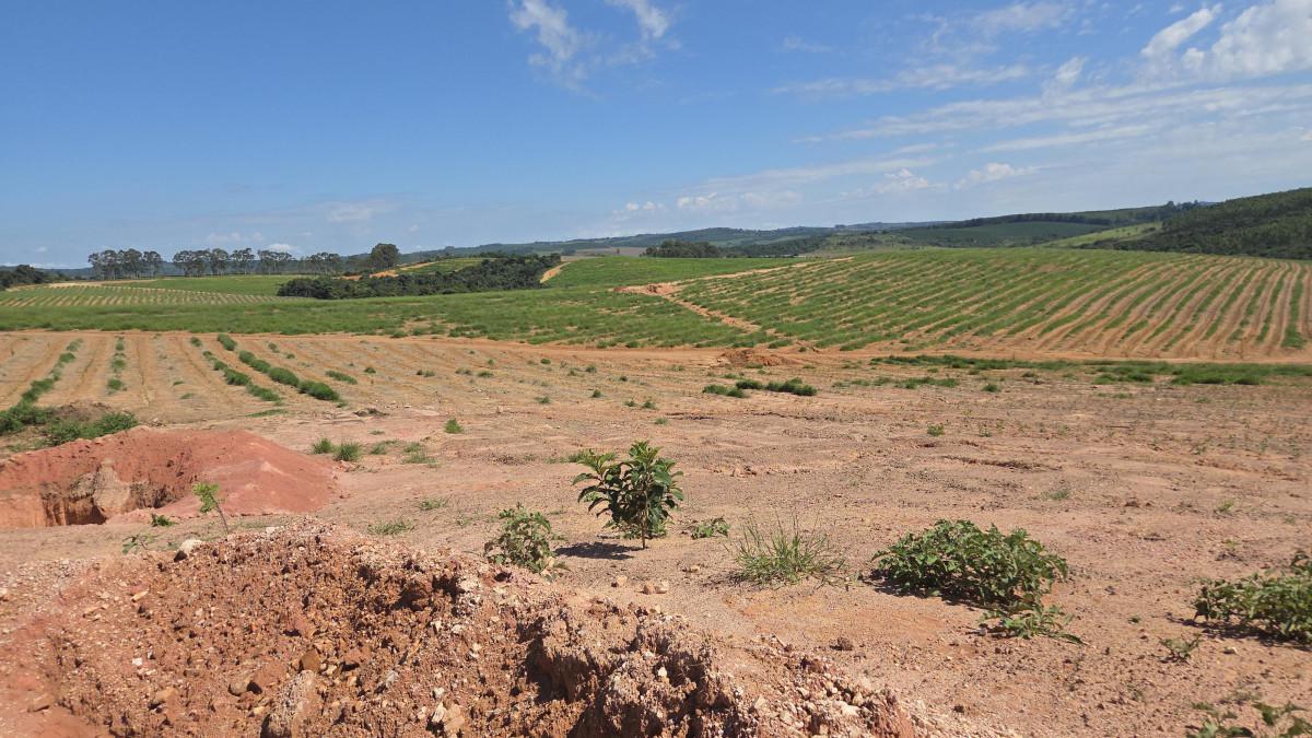Fazenda, Zona Rural, 0 Quarto, 0 Vaga
