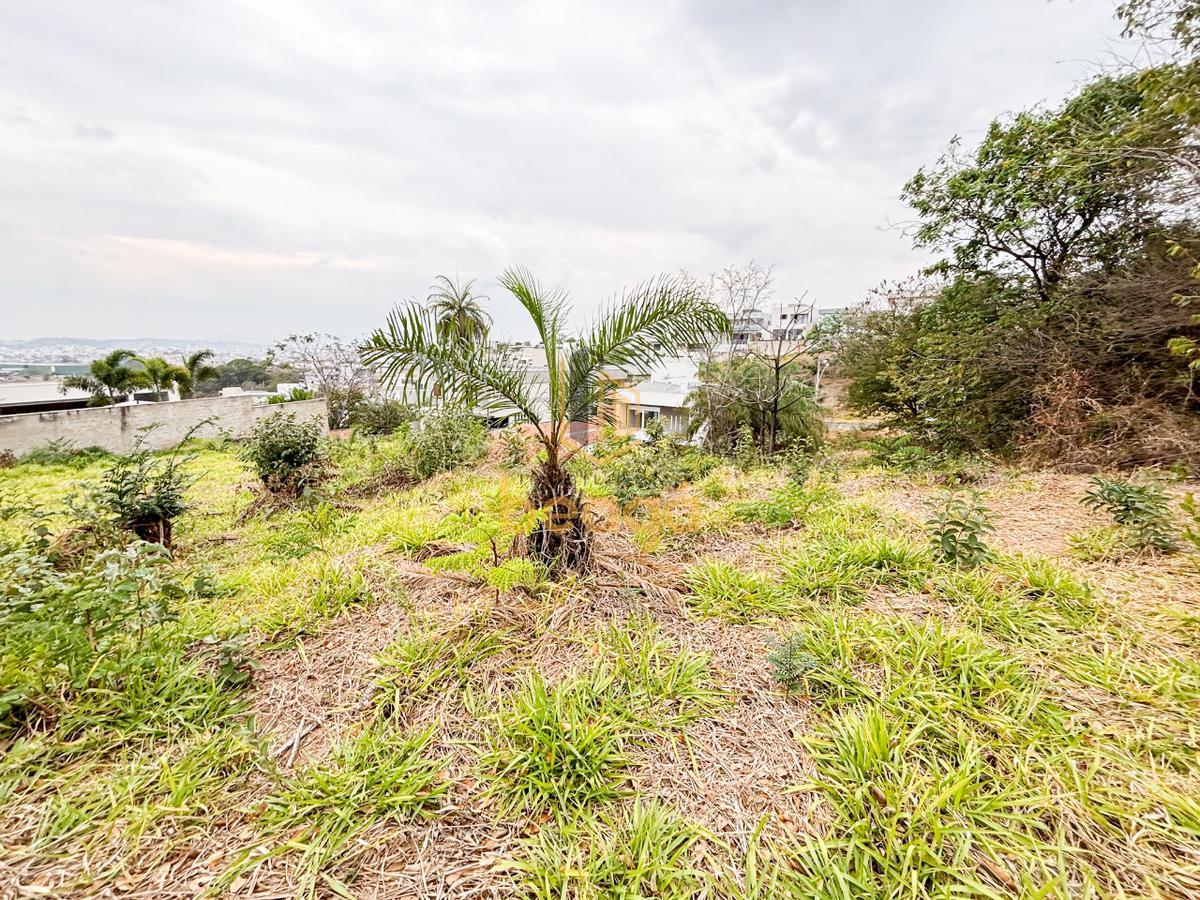 Lote, Portal do Sol, 0 Quarto, 0 Vaga