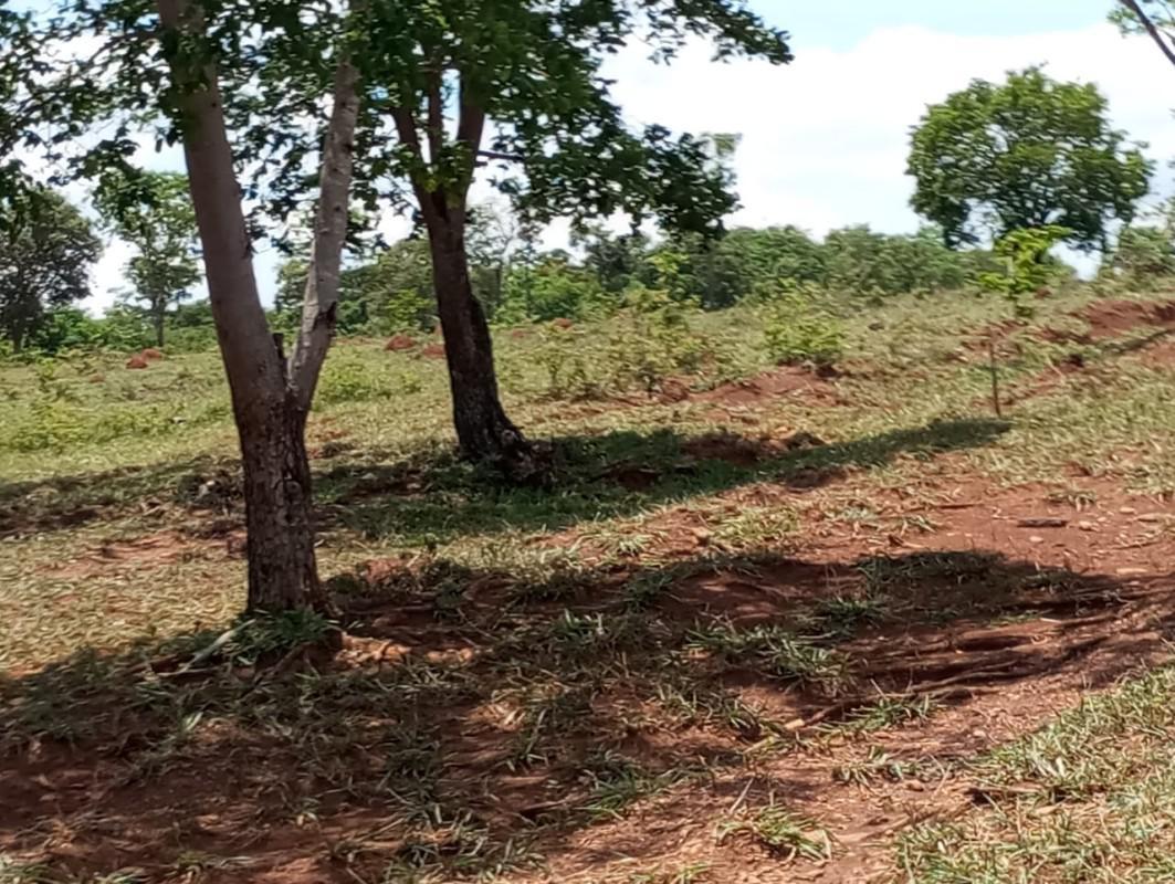 Fazenda, Centro, 0 Quarto, 0 Vaga