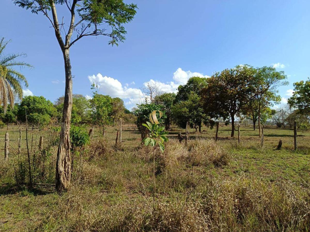 Fazenda, Area Rural de Sete Lagoas, 0 Quarto, 0 Vaga