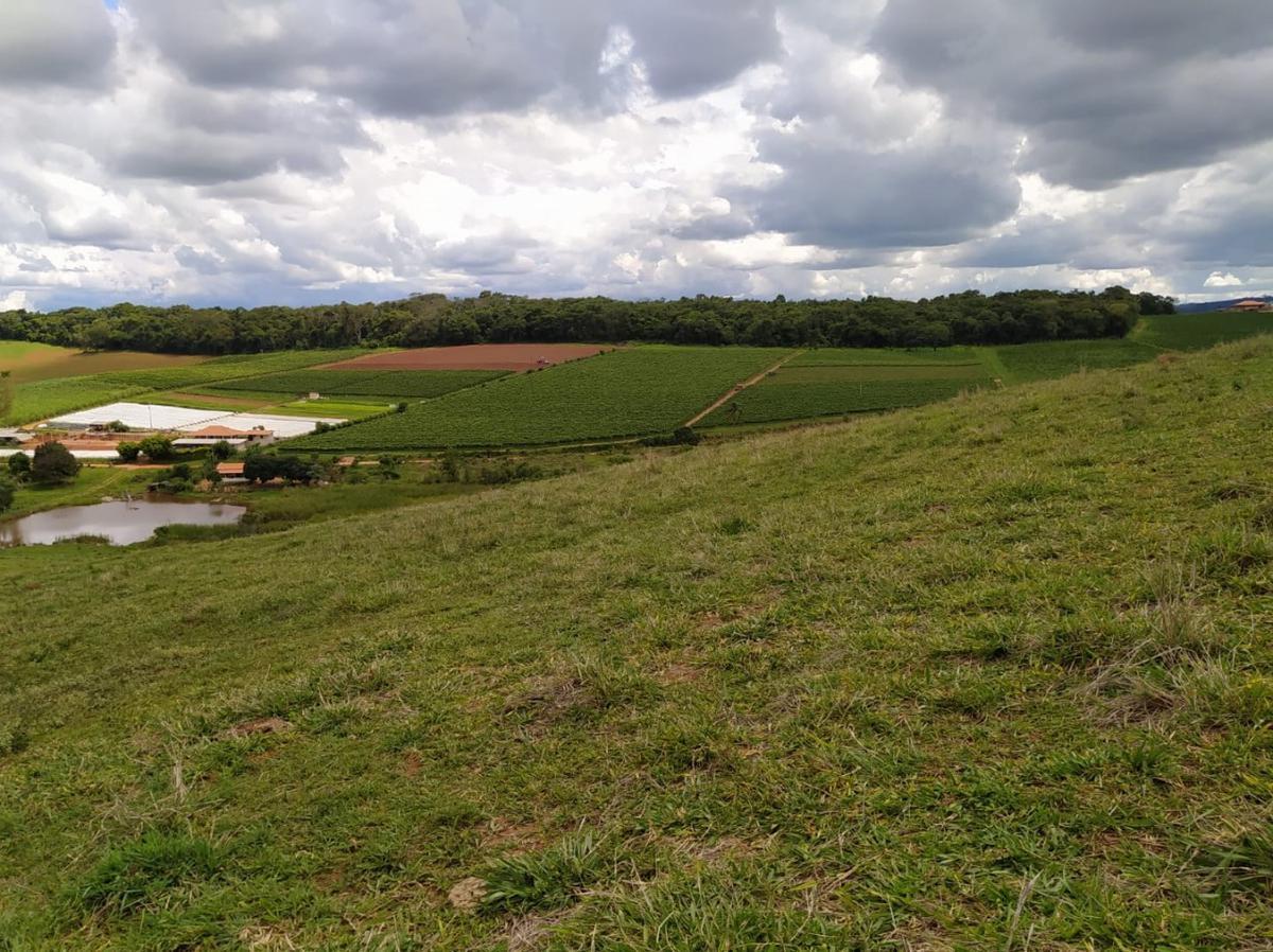 Fazenda, Centro, 1 Quarto, 1 Vaga