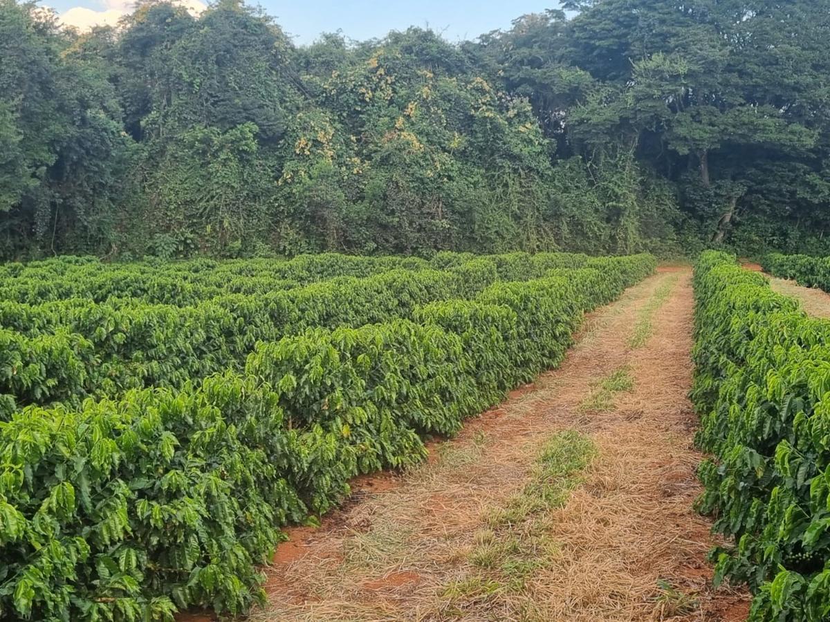 Fazenda, Zona Rural, 0 Quarto, 0 Vaga