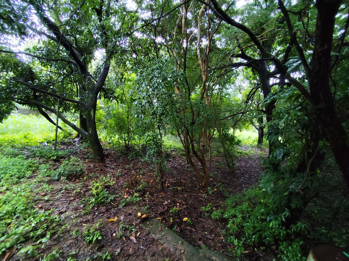 Lote, Trevo, 0 Quarto, 0 Vaga