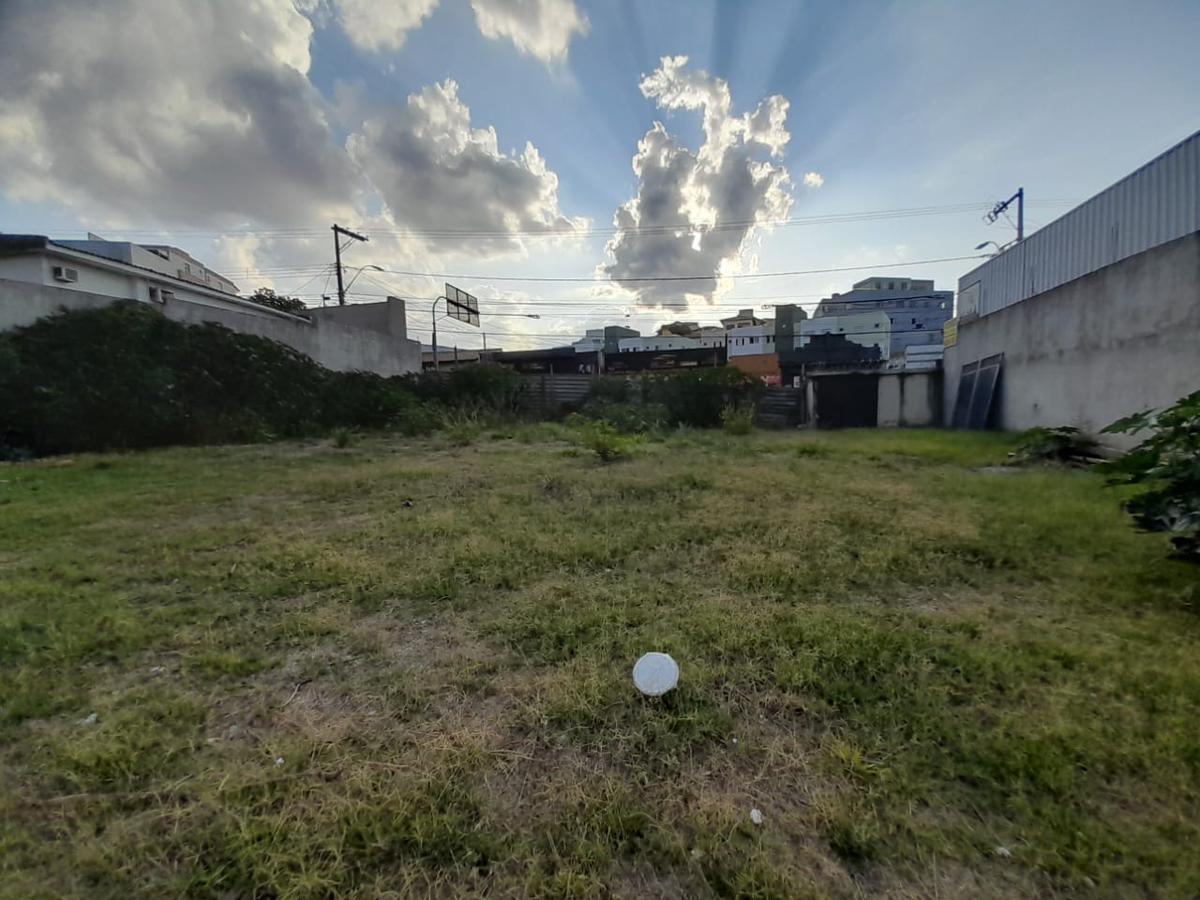 Lote, Floresta, 0 Quarto, 0 Vaga