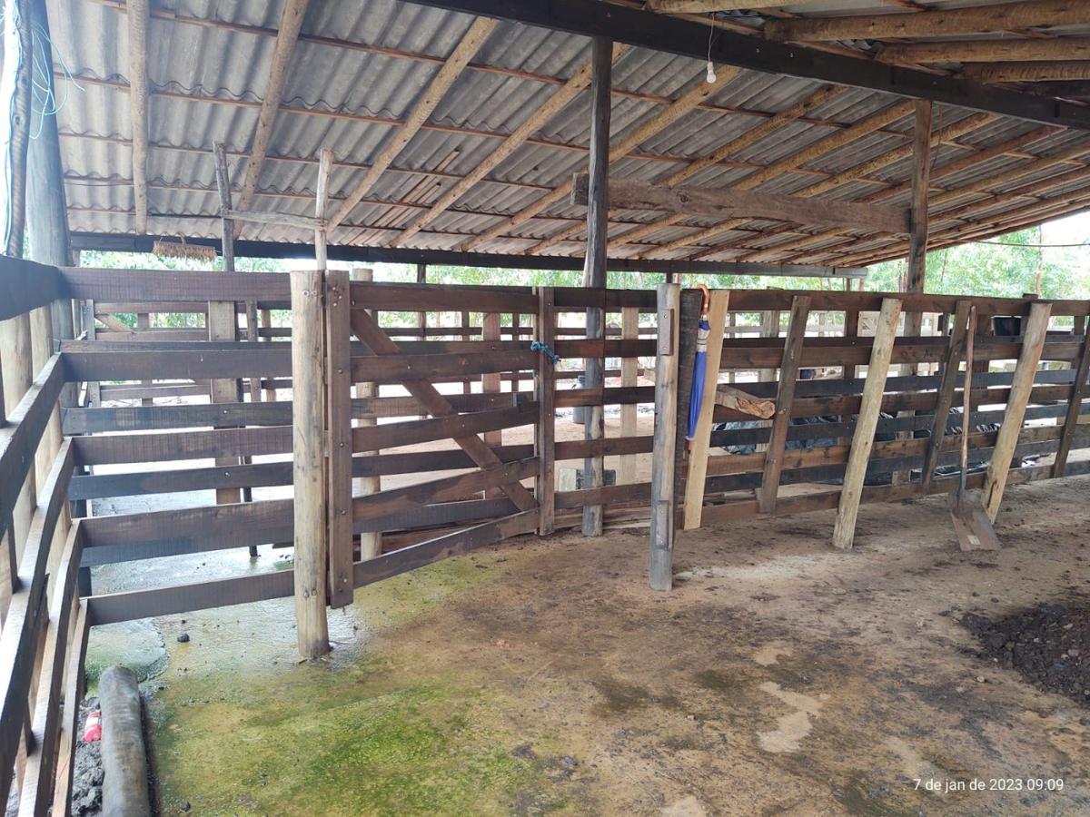 Fazenda, Centro, 3 Quartos, 4 Vagas, 1 Suíte